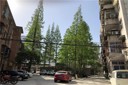 枳沟镇聚和苑小区7号楼2室1厅1卫82㎡